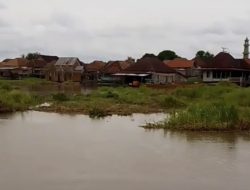 “Timbohan” Jadi Kado Tahunan Warga Bantaran Sungai Babatan Pedamaran