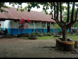 Diduga Jual Aset Negara, Kepala SDN 5 Pedamaran Disorot Publik