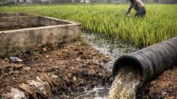 Limbah Diduga Dibuang ke Sawah, SPPG Ratawangi 2 Ciamis Terancam SP1