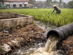 Limbah Diduga Dibuang ke Sawah, SPPG Ratawangi 2 Ciamis Terancam SP1