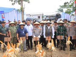 Panen Raya Jagung di Indramayu, Kapolda Jabar : Ketahanan Pangan Butuh Sinergi Semua Pihak
