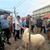 Cek Keamanan Hewan Kurban, Wali Kota Tinjau Kelayakan Hewan di Lima Lokasi