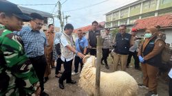Cek Keamanan Hewan Kurban, Wali Kota Tinjau Kelayakan Hewan di Lima Lokasi