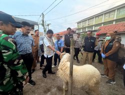 Cek Keamanan Hewan Kurban, Wali Kota Tinjau Kelayakan Hewan di Lima Lokasi