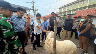 Cek Keamanan Hewan Kurban, Wali Kota Tinjau Kelayakan Hewan di Lima Lokasi