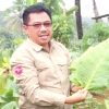 Pemanfaatan DBHCHT 2026, DKPP Bandung Barat Dorong Peningkatan Produktivitas dan Kualitas Tembakau