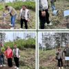 Jaga Warisan Hayati Sumut, BPDAS Asahan Barumun Tanam Kemenyan di Demplot Toba