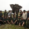 Menhut Tinjau Penanganan Karhutla di Padang Sugihan, Pastikan 29 Gajah Sumatra dalam Kondisi Sehat