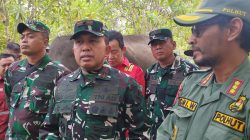 Satgas Karhutla Sumsel Kendalikan Kebakaran 90 Hektare di Padang Sugihan