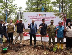 Dua Dekade Bebas Karhutla, Restorasi Gambut Sepucuk OKI Berpotensi Jadi Rujukan Nasional